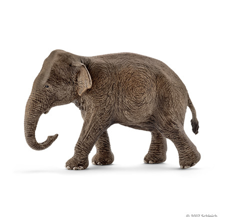 Elefante Asiatico Femmina - Schleich