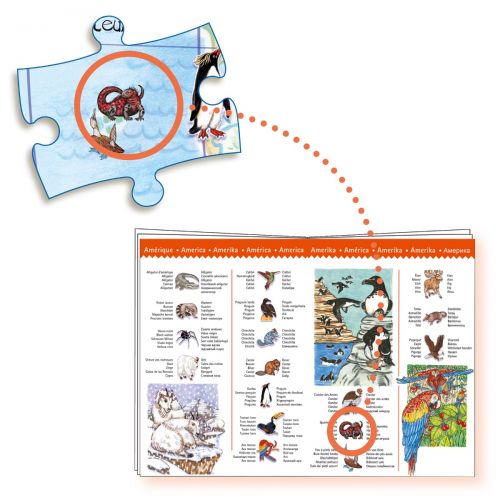 Puzzle Observation Animali Del Mondo - Djeco