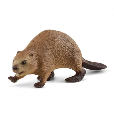 Castoro - Schleich