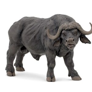 Bufalo - Papo