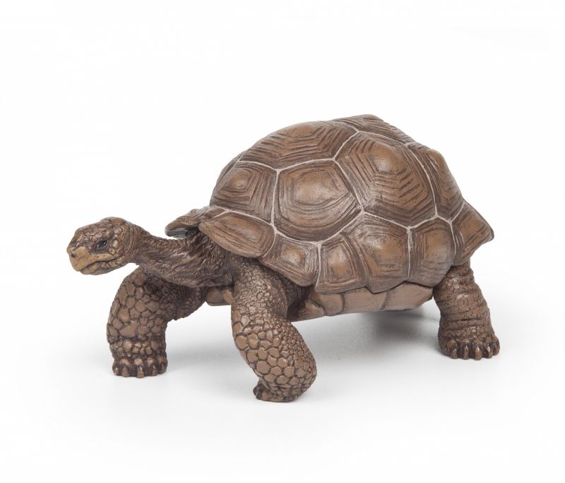Tartaruga Galapagos - Papo
