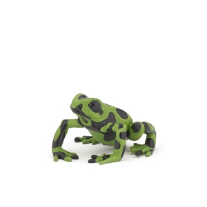 Rana Verde Equatoriale - Papo