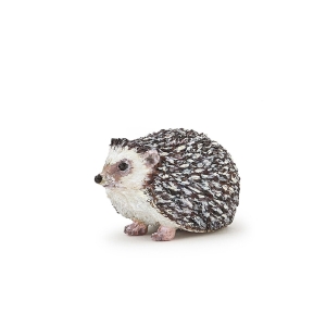 Riccio - Papo