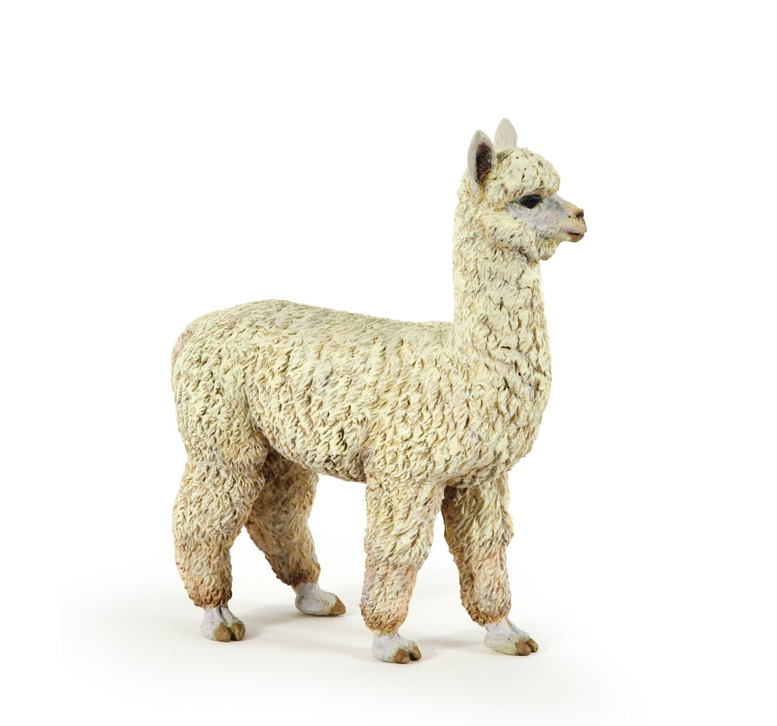 Alpaca - Papo