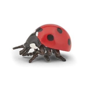 Coccinella - Papo