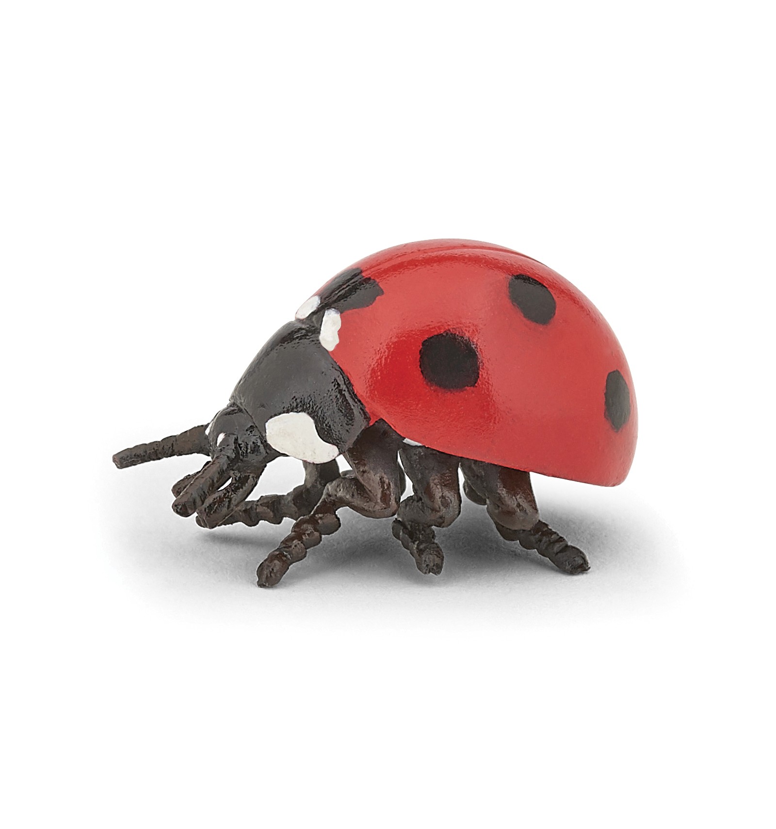 Coccinella - Papo