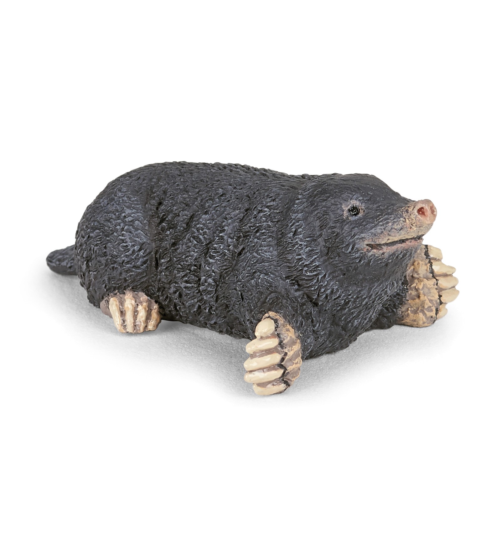 Talpa - Papo