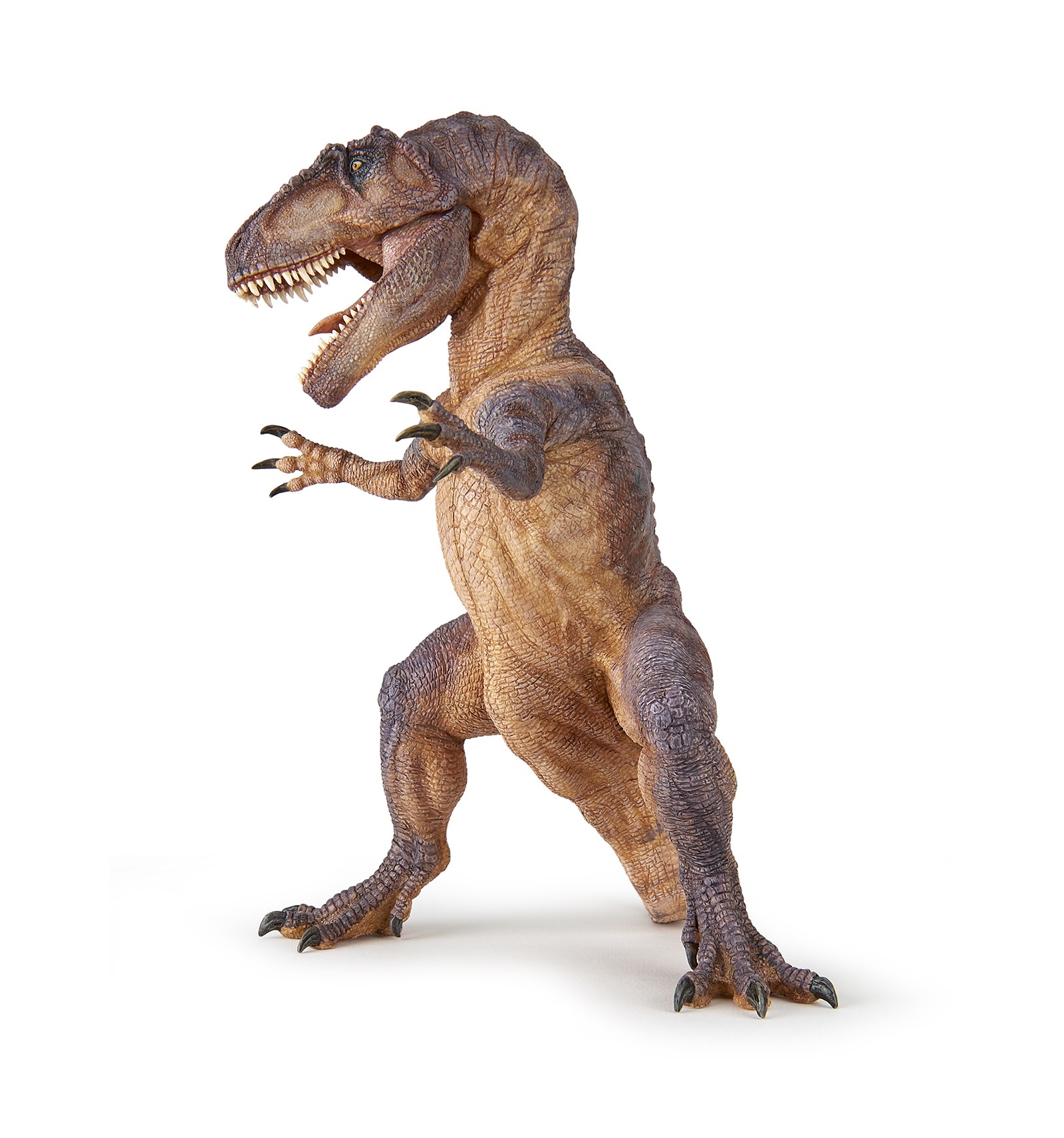 Gigantosauro - Papo