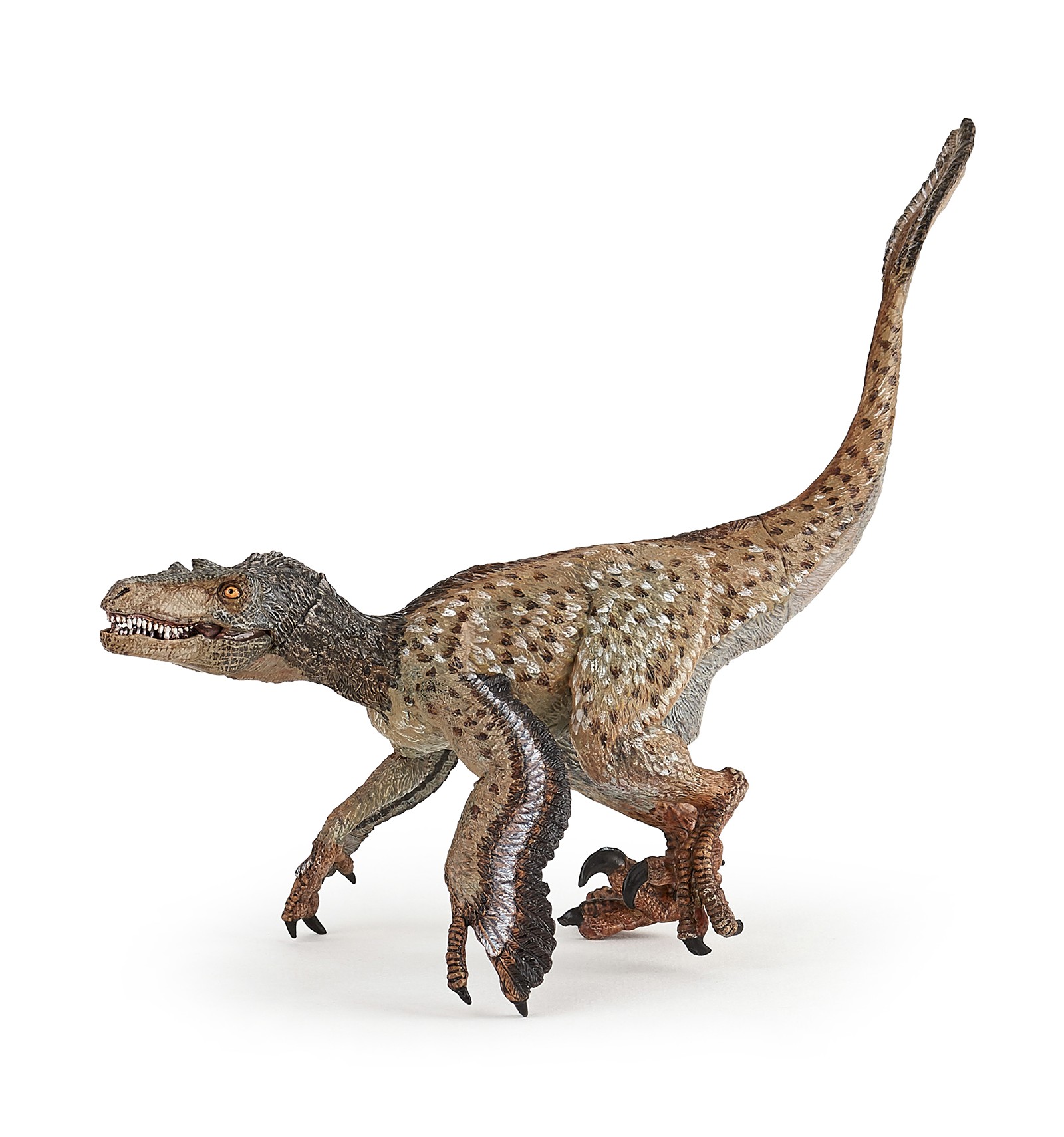 Feathered Velociraptor - Papo