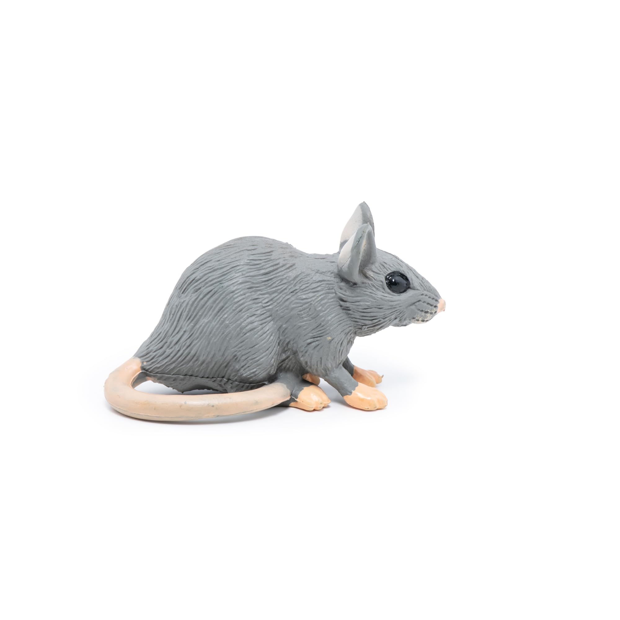 Topo - Papo