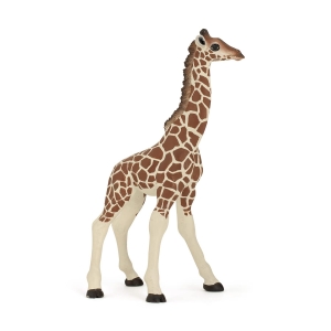 Cucciolo Di Giraffa - Papo