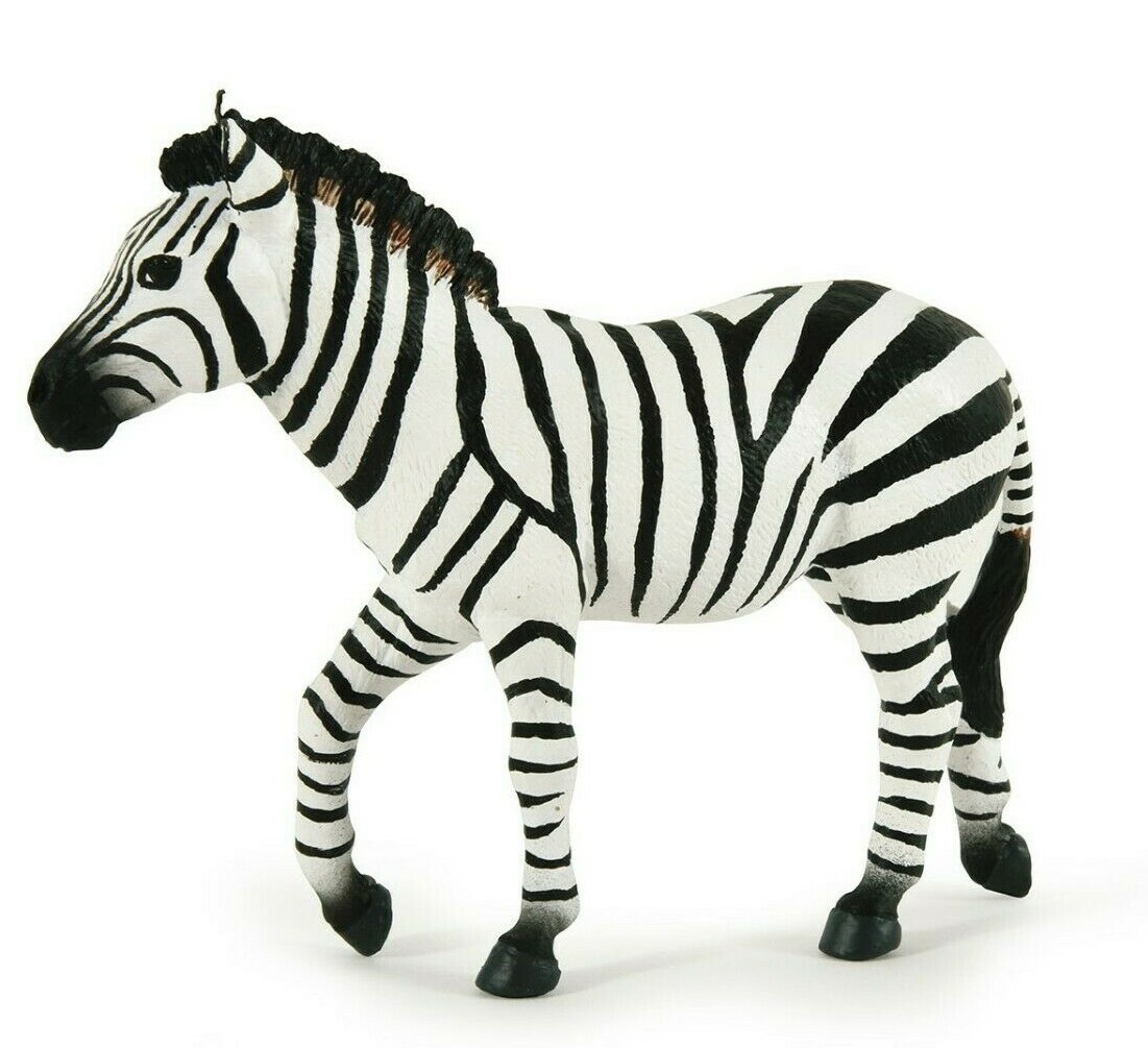 Zebra Maschio - Papo