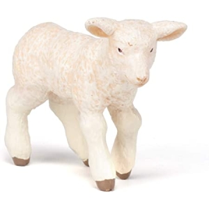 Agnello - Papo