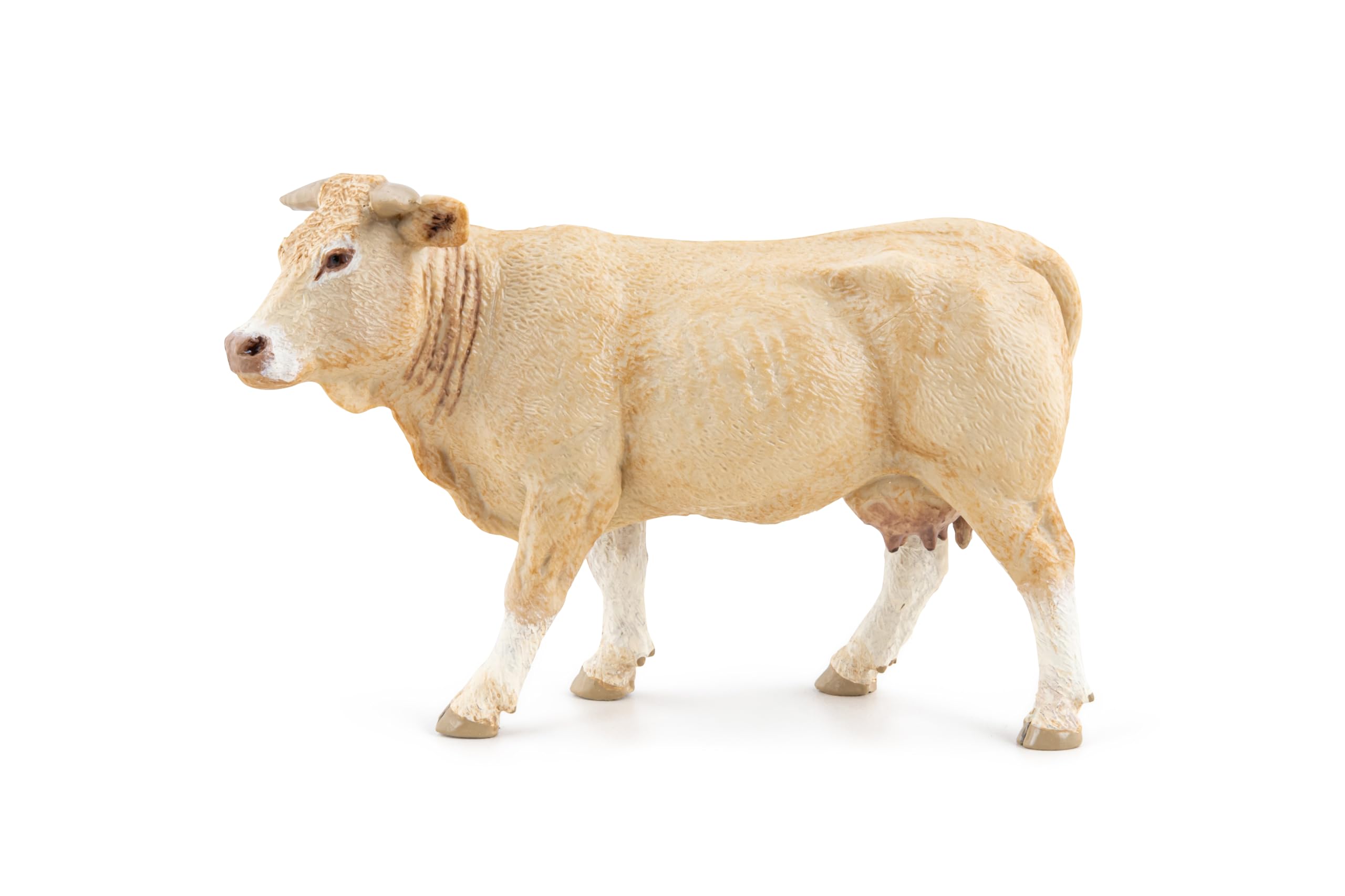 Mucca Bionda D'Aquitania - Papo