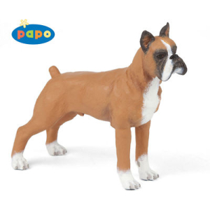 Boxer - Papo